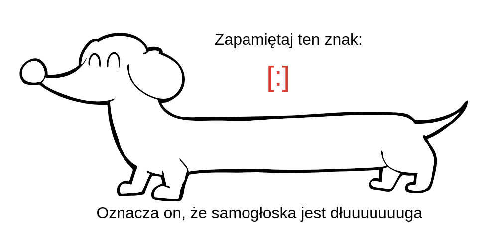 obrazek z jamnikiem ktory jest dlugi tak jak wymowa niektorych samoglosek w alfabecie niemieckim