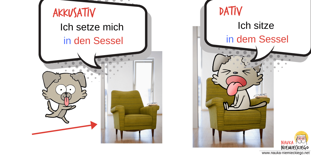 pies siadajacy na fotel jako przyklad akkusativu i pies siedzacu na fotelu jak prykladn dativu