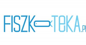 fiszkoteka opinie