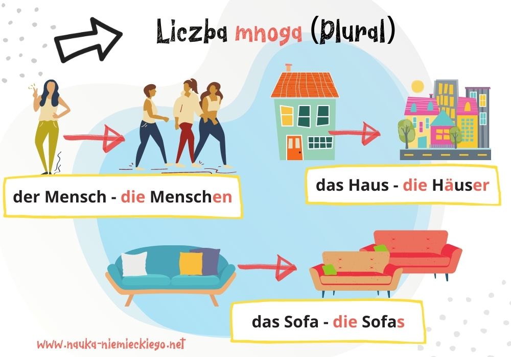 Liczba mnoga w niemieckim obrazowo wyjaśniona