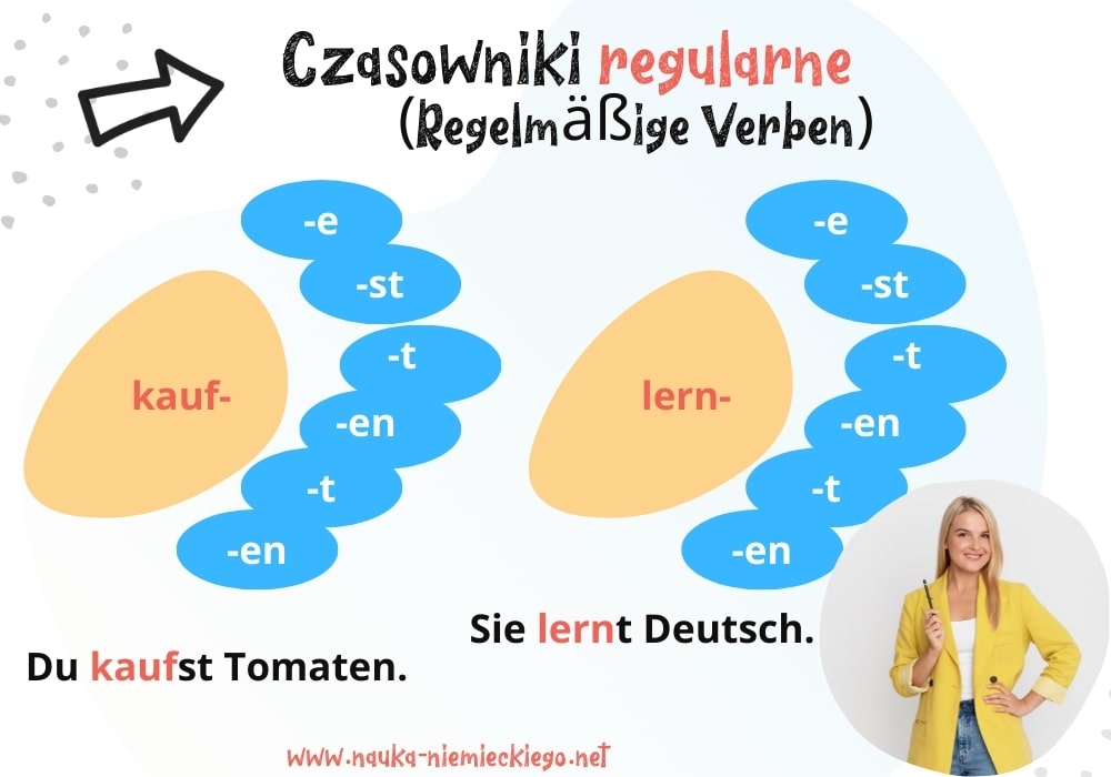 Czasowniki regularne w niemieckim obrazowo wyjaśnione