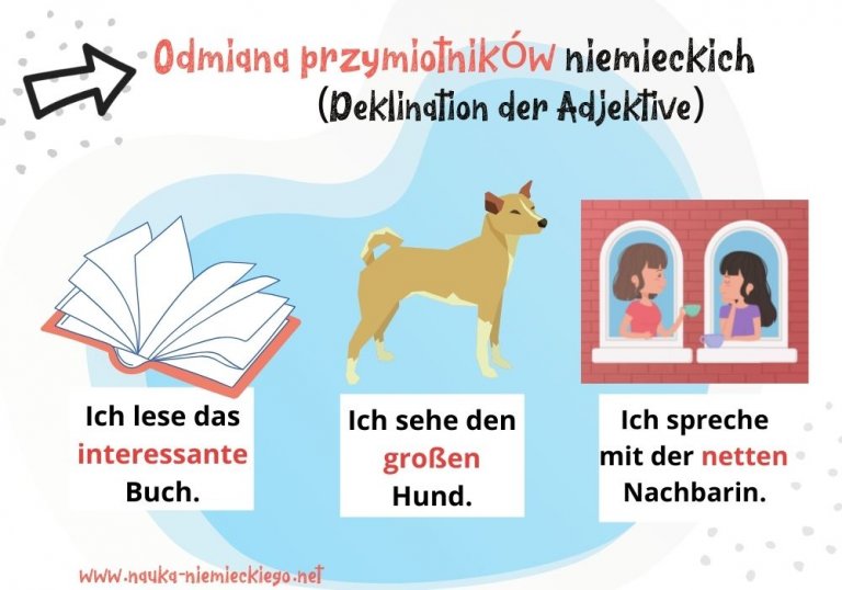 Sprawdzian Niemiecki Magnet 3 Wstaw Końcówkę Przymiotnika